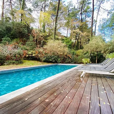 Spacieuse Avec Jacuzzi Et Piscine Chauffée à Hossegor - Fr-1-413-261 Villa *