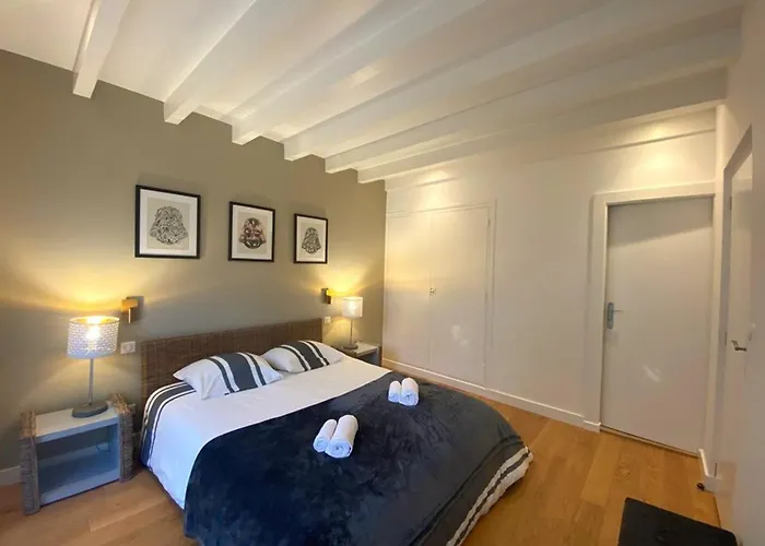 Spacieuse Avec Jacuzzi Et Piscine Chauffée à Hossegor - Fr-1-413-261 Villa *