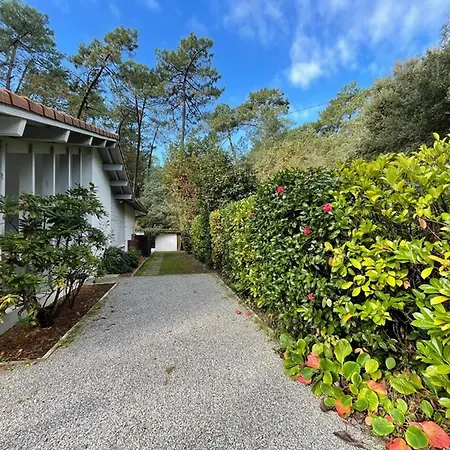 Spacieuse Avec Jacuzzi Et Piscine Chauffee A Hossegor - Fr-1-413-261 *