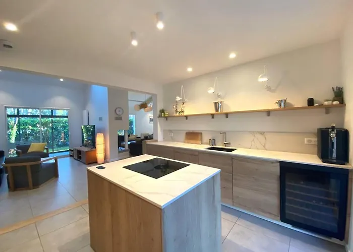 Spacieuse Avec Jacuzzi Et Piscine Chauffee A Hossegor - Fr-1-413-261 Villa